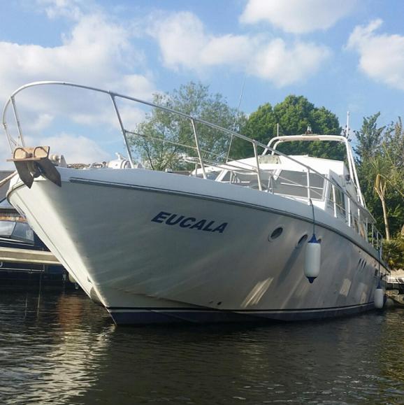 Eucala Motor Yacht Hotel East Molesey Esterno foto